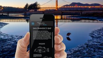 Proposal to make the ecological function of San Francisco Bay more tangible